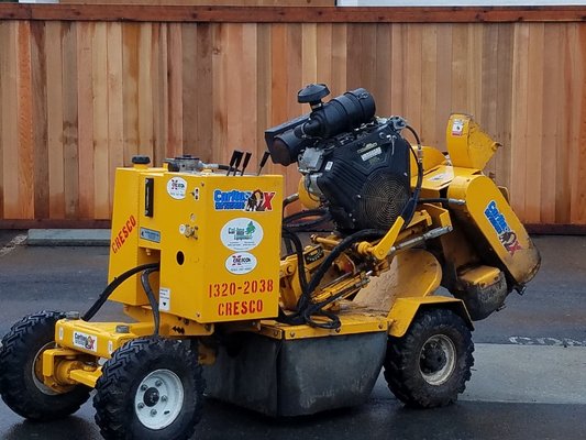 Firefighter Tree Service in Burlingame