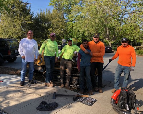 Professional tree trimming in Redwood City