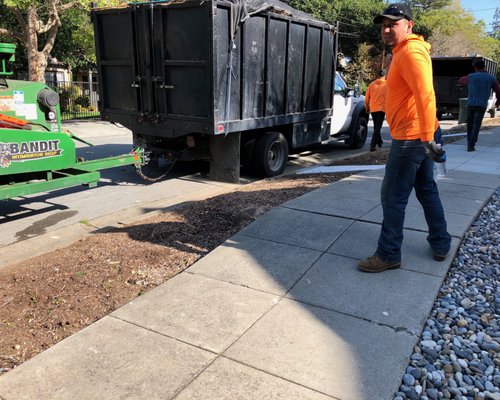 Tree trimming project Bay Area