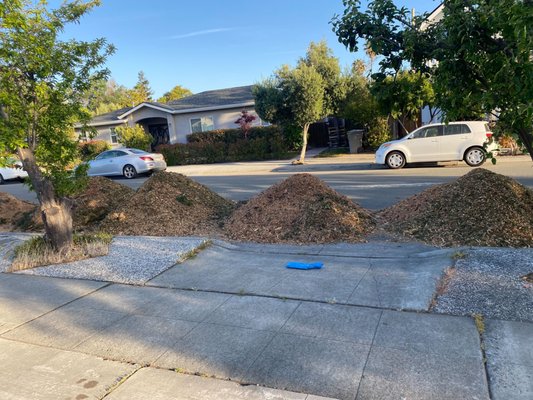 Clean worksite after tree removal